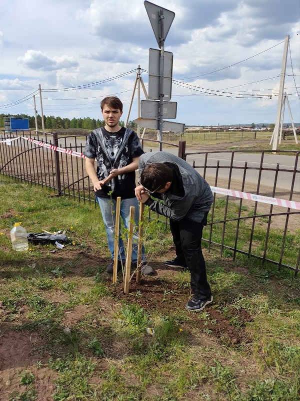 Фотографии школы.